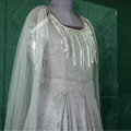 Moonlight Silver Gown