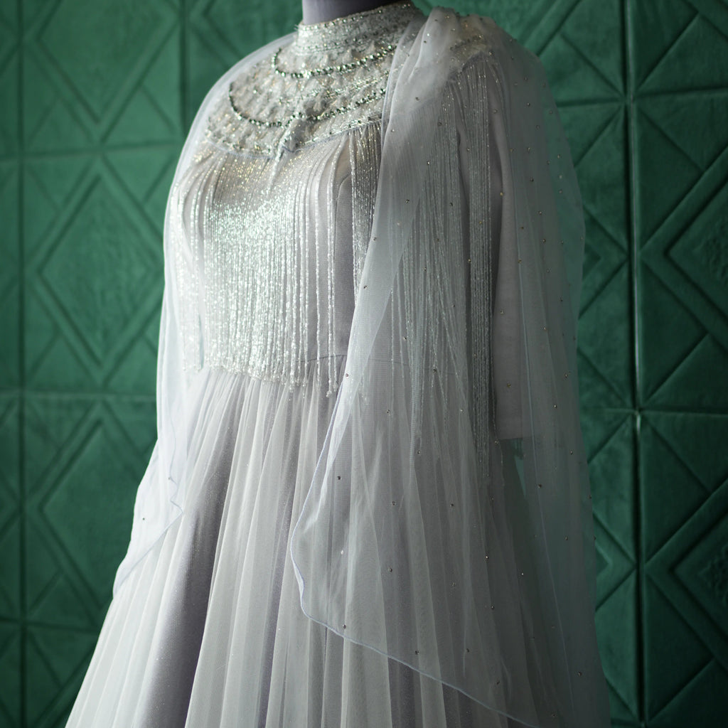 Royal Silver Net Gown